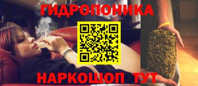 ПСИЛОЦИБИНОВЫЕ ГРИБЫ Краснознаменск