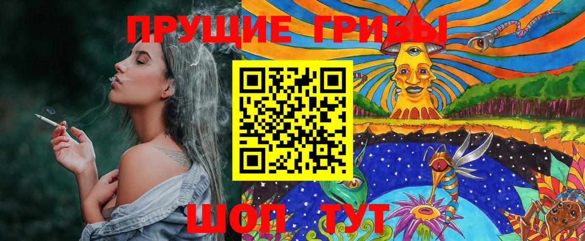 Галлюциногенные грибы Psilocybe Ишимбай